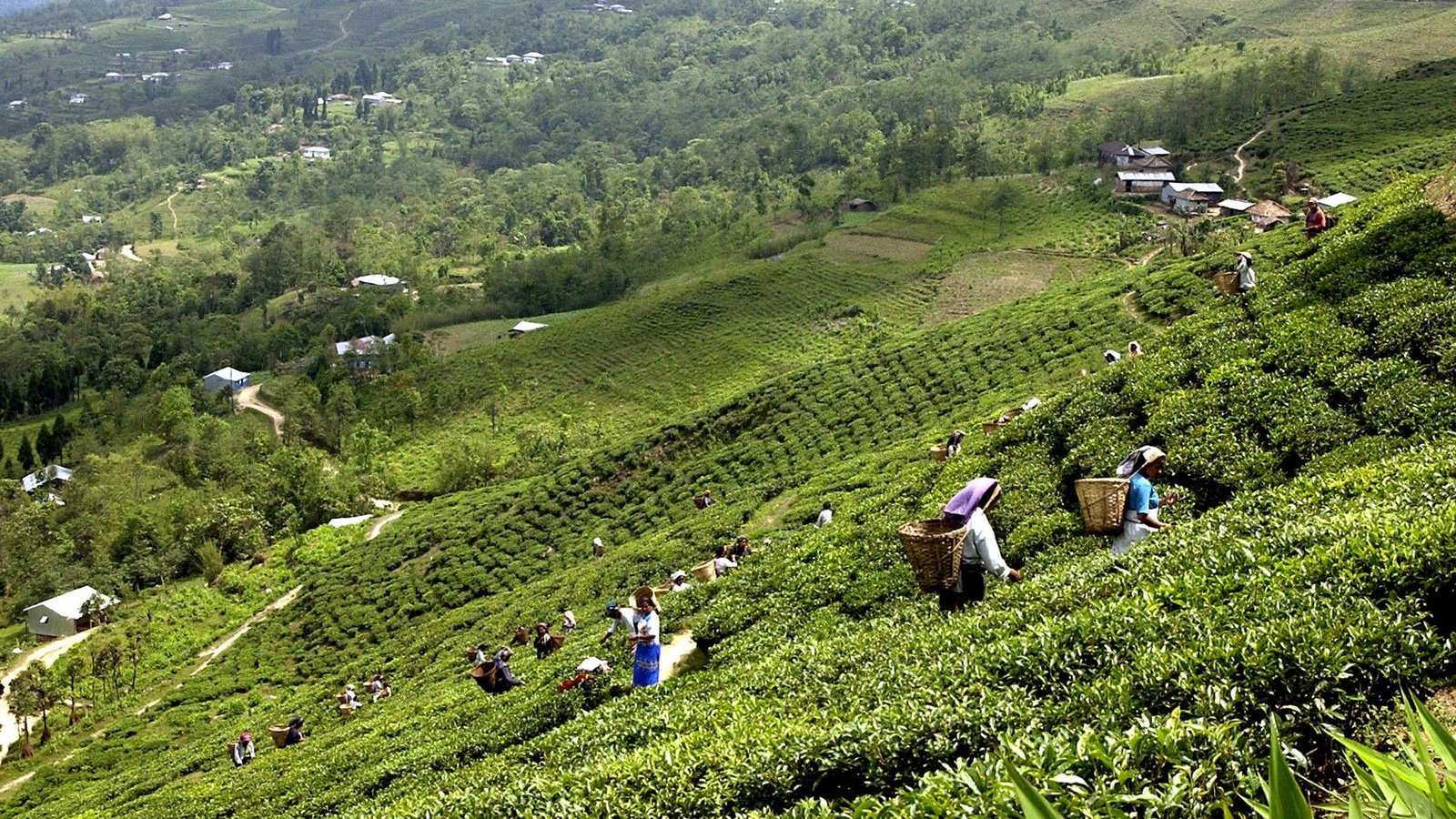 Ilam
