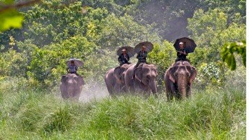 Bardiya