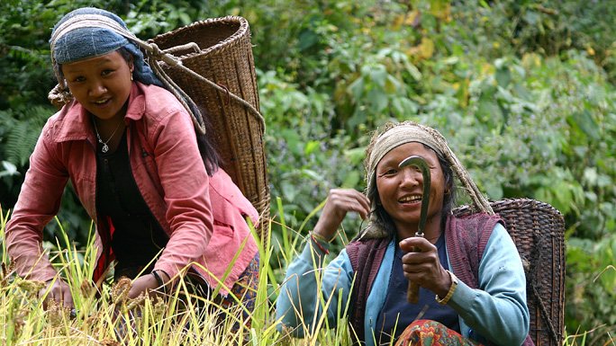 Local women doing their daily chores in the Annapurna Circuit in Nepal